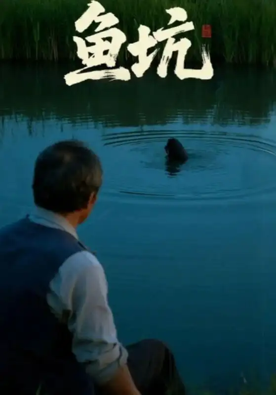 短剧《鱼坑》完整剧情全集免费在线观看