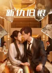 短剧《新仇旧恨》完整剧情全集免费在线观看