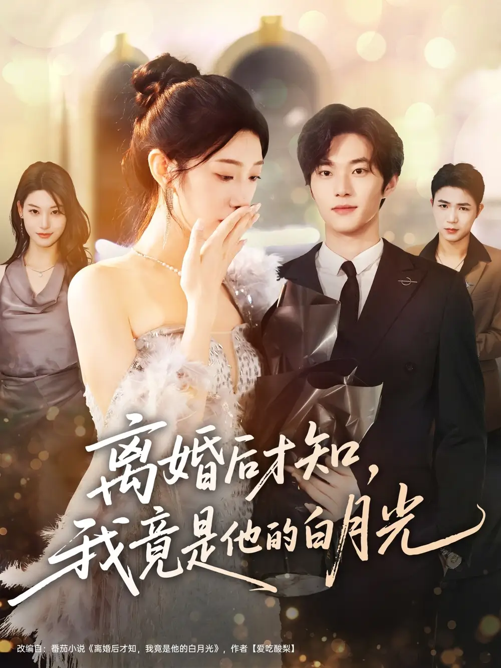 短剧《离婚后才知，我竟是他的白月光》完整剧情全集免费在线观看