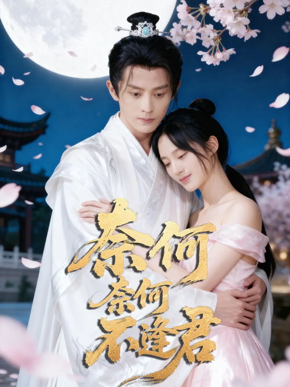 短剧《奈何奈何不逢君》完整剧情全集免费在线观看