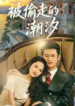 短剧《被偷走的潮汐》完整剧情全集免费在线观看