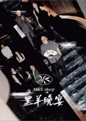 短剧《黑羊晚宴》完整剧情全集免费在线观看