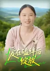 短剧《爱在磕绊后绽放》完整剧情全集免费在线观看