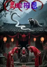 短剧《灵蛇报恩》完整剧情全集免费在线观看