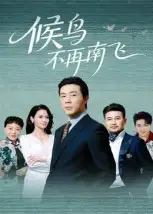 短剧《候鸟不再南飞》完整剧情全集免费在线观看