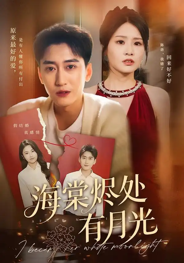 短剧《海棠烬处有月光》完整剧情全集免费在线观看