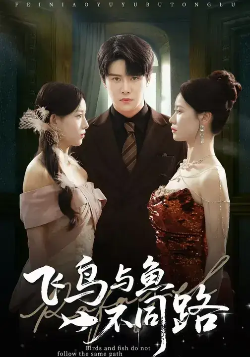 短剧《飞鸟与鱼不同路》完整剧情全集免费在线观看
