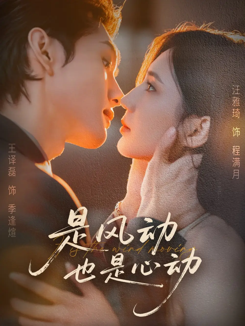 短剧《是风动也是心动》完整剧情全集免费在线观看