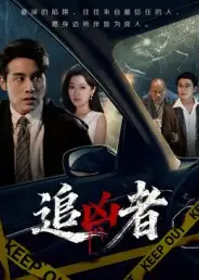 短剧《追凶者》完整剧情全集免费在线观看