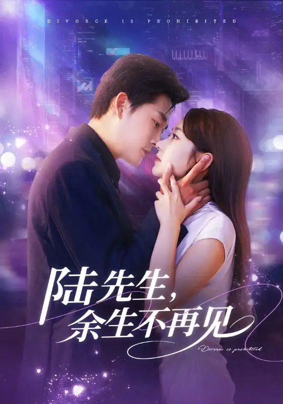 短剧《陆先生，余生不再见》完整剧情全集免费在线观看