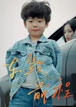 短剧《车毁前程》完整剧情全集免费在线观看