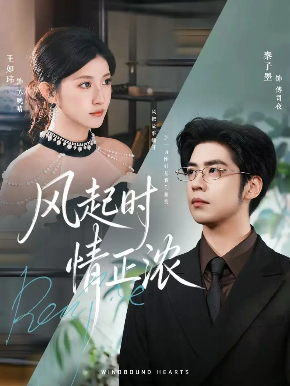 短剧《风起时情正浓》完整剧情全集免费在线观看