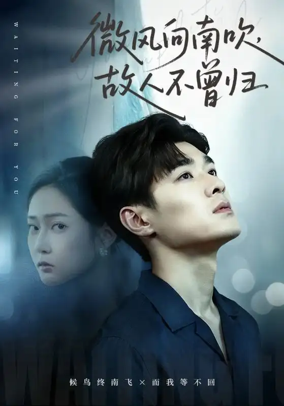 微风向南吹,故人不曾归(72集)易柏辰&王悦洋高清海报图片 微风向南吹,故人不曾归(72集)易柏辰&王悦洋海报