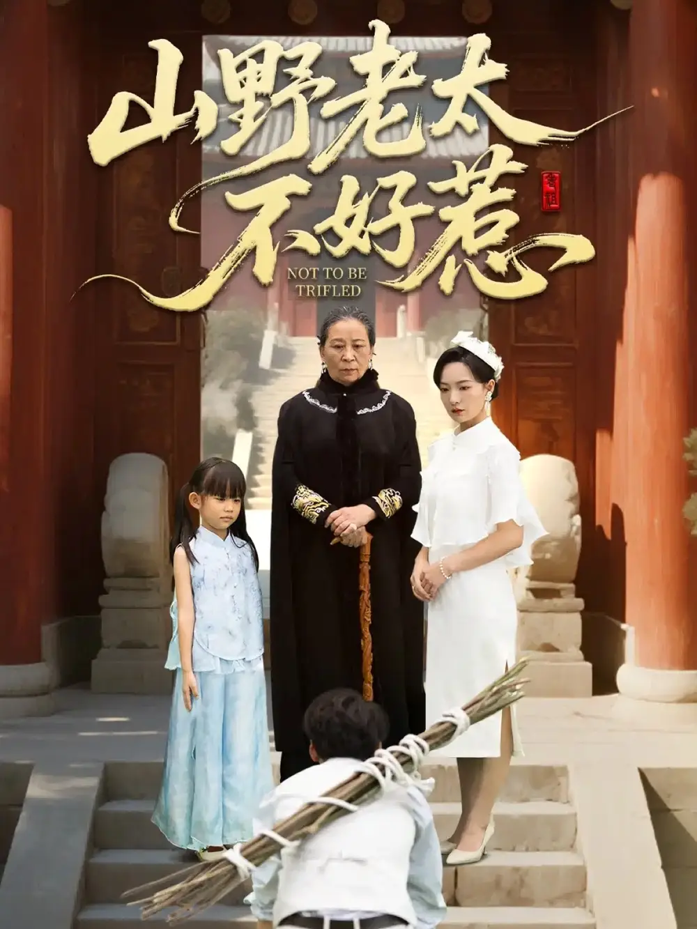 短剧《山野老太不好惹＆奶奶一脚震全城》完整剧情全集免费在线观看