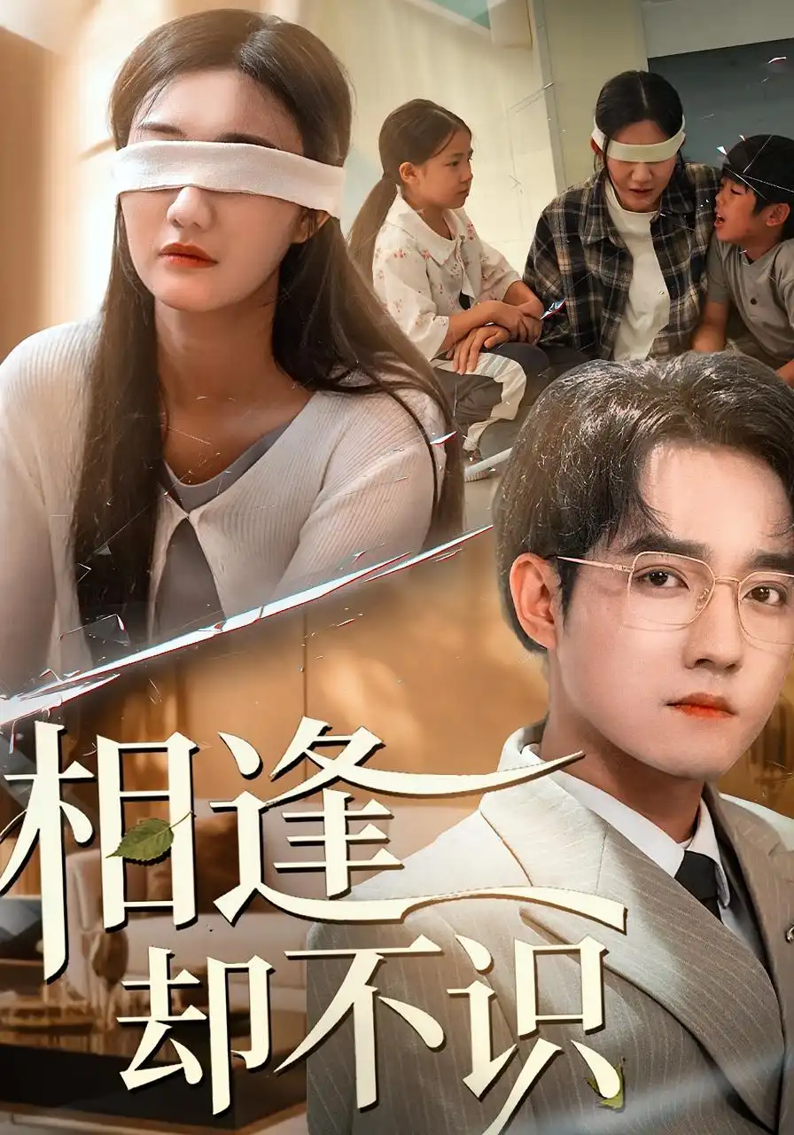 短剧《相逢却不识》完整剧情全集免费在线观看