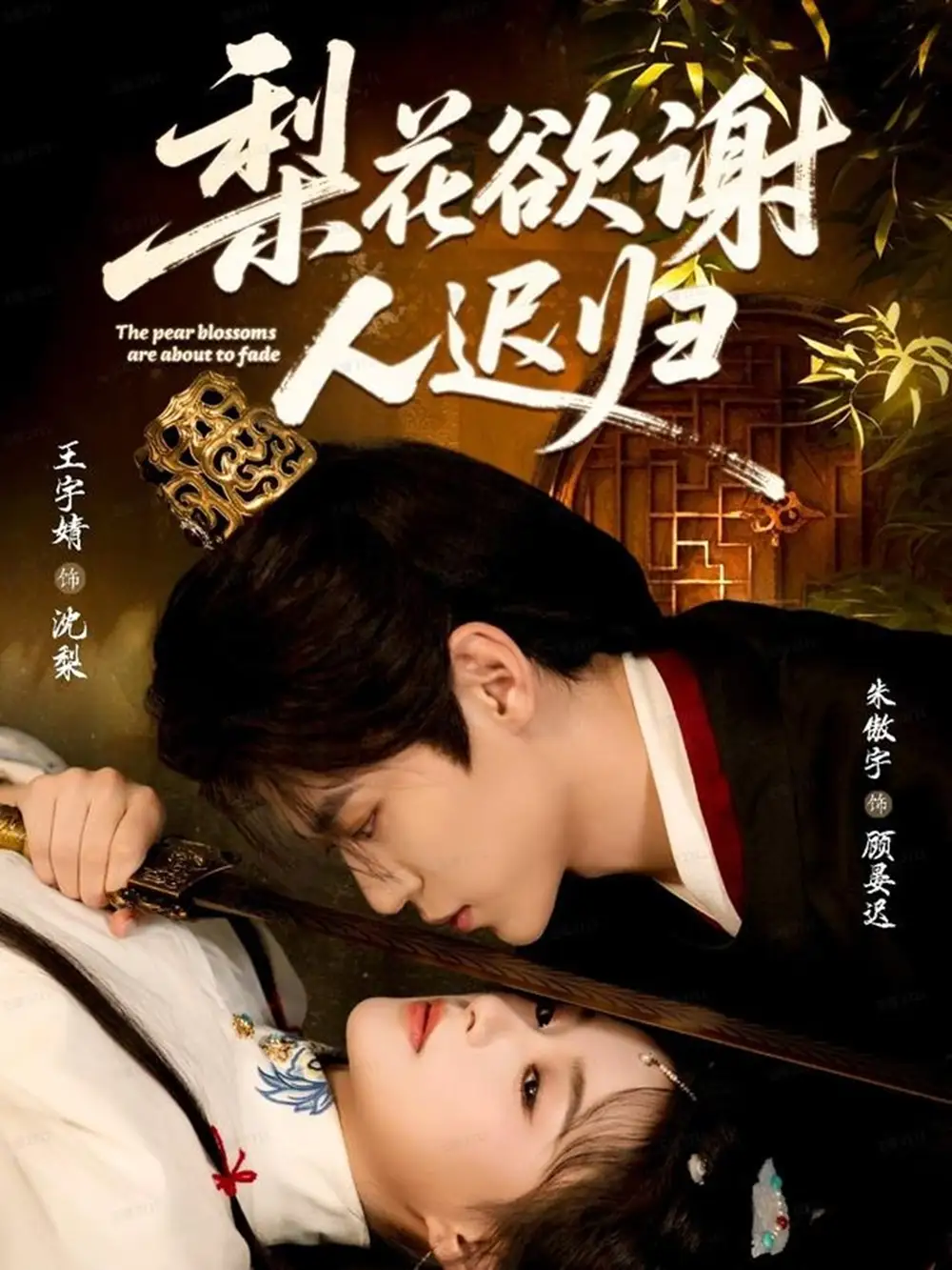 梨花欲谢人迟归（60集）朱傲宇＆王宇婧海报