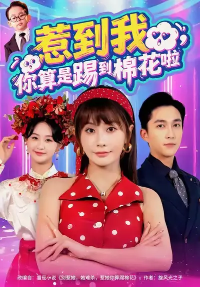 惹到我，你算是踢到棉花啦（67集）陈楚洹＆娄宇瑶海报