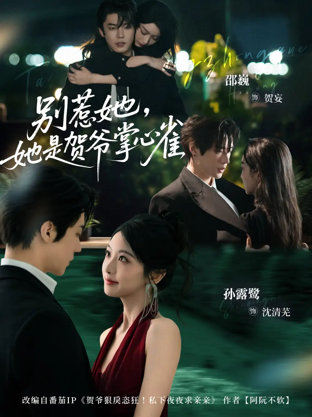 别惹她,她是贺爷掌心雀(69集)邵巍&孙露鹭高清海报图片 别惹她,她是贺爷掌心雀(69集)邵巍&孙露鹭海报