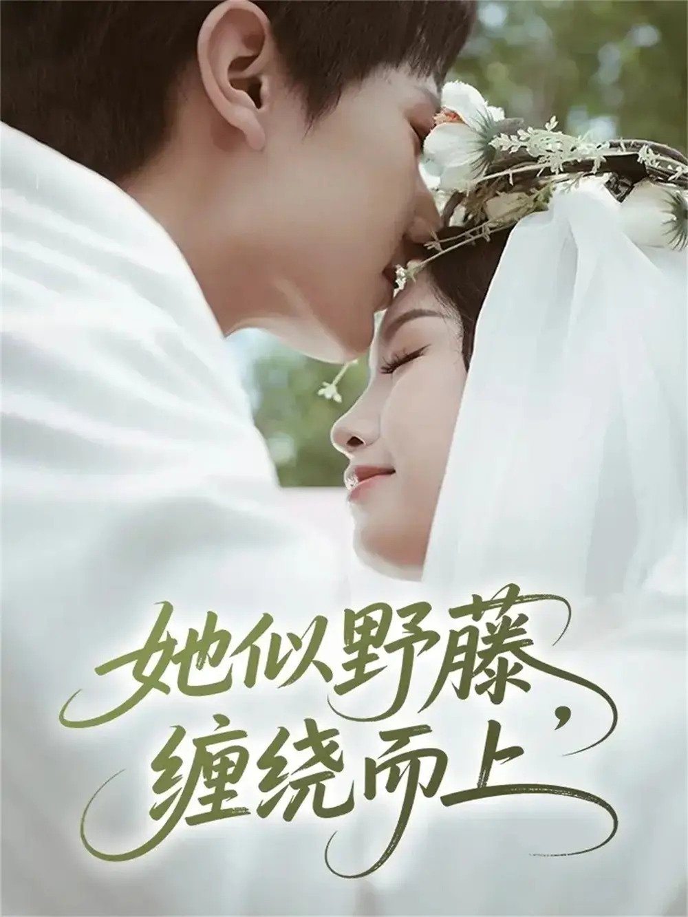 短剧《她似野藤，缠绕而上》完整剧情全集免费在线观看