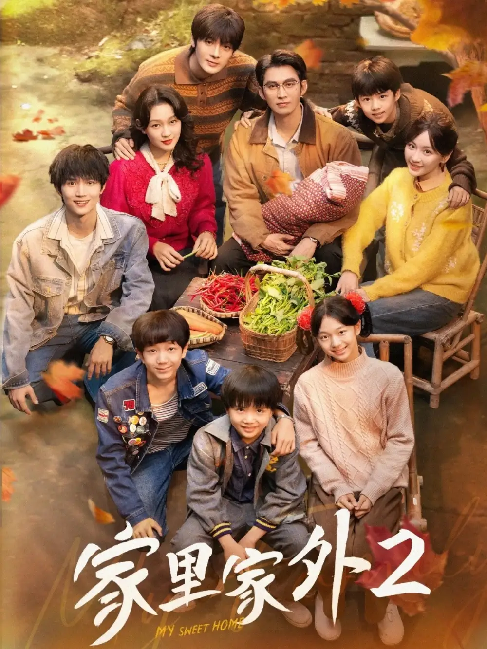 短剧《家里家外2》完整剧情全集免费在线观看