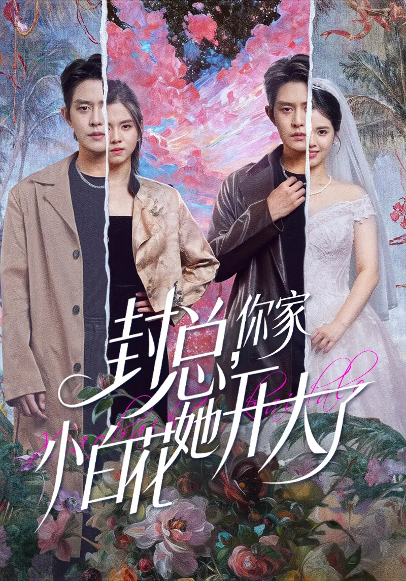 短剧《没有年上哄》夸克资源免费在线观看全集