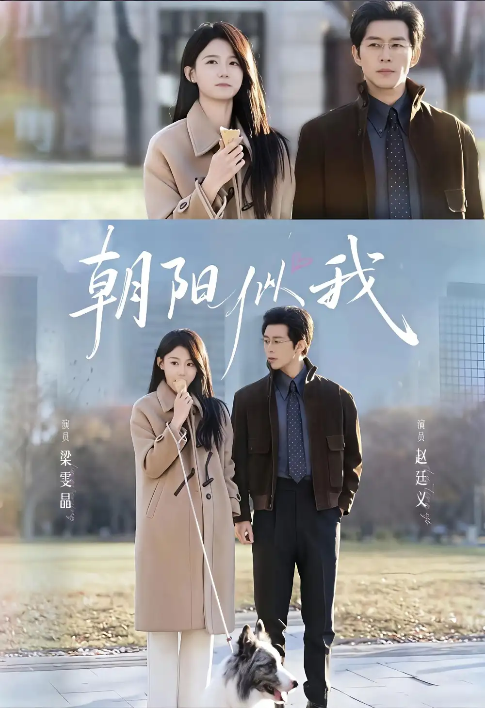 短剧《朝阳似我》完整剧情全集免费在线观看