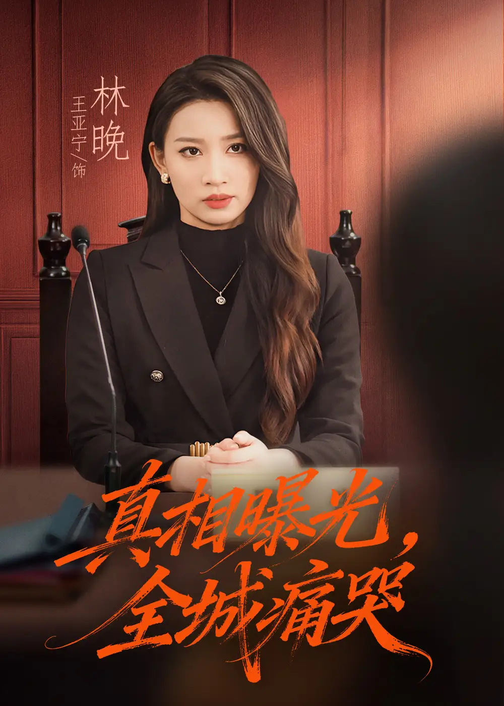 真相曝光，全城痛哭＆撕开不孝的面具（49集）王亚宁＆唐陆军海报