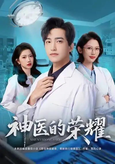 神医的荣耀（80集）刘小龙＆田佳一海报